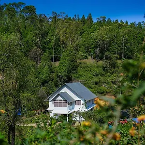 Oyo 77946 Skylark- Hygiene Ensured Guest house Munnar
